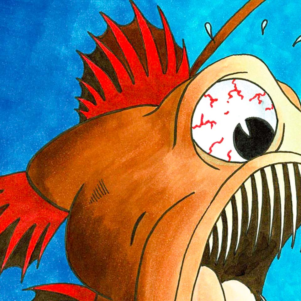 Anglerfisch_Ausschnitt